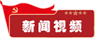 新闻视频